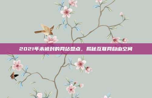 2021年未被封的网站盘点,揭秘互联网自由空间