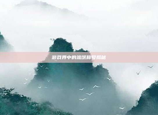 游戏界中的流氓称号揭秘