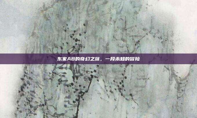 东家AB的奇幻之旅,一段未知的冒险