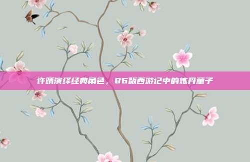 许晴演绎经典角色,86版西游记中的炼丹童子