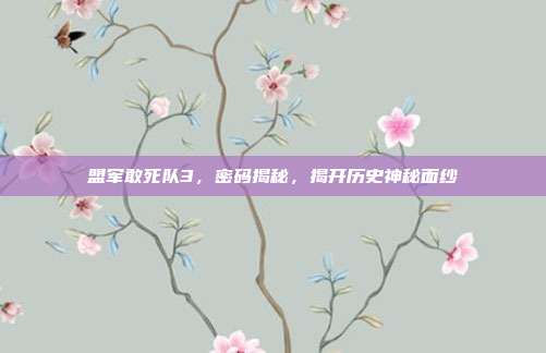 盟军敢死队3,密码揭秘,揭开历史神秘面纱