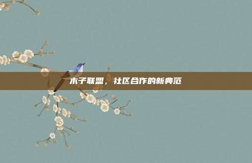 木子联盟,社区合作的新典范