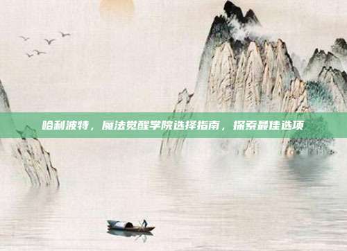 哈利波特,魔法觉醒学院选择指南,探索最佳选项