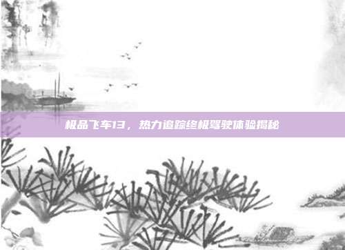 极品飞车13,热力追踪终极驾驶体验揭秘
