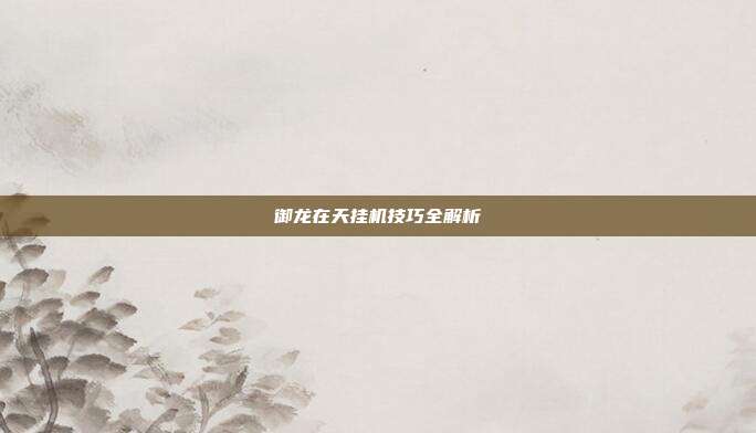 御龙在天挂机技巧全解析