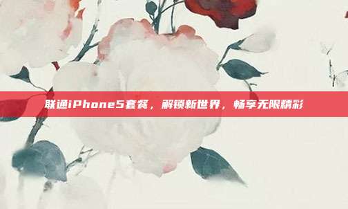 联通iPhone5套餐,解锁新世界,畅享无限精彩