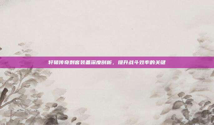 轩辕传奇刺客装备深度剖析,提升战斗效率的关键