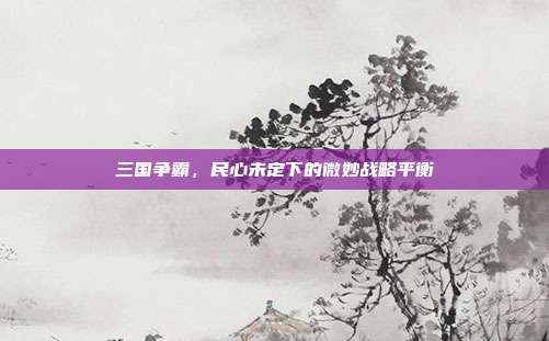 三国争霸,民心未定下的微妙战略平衡