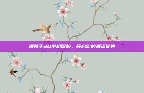 海贼王3D单机冒险,开启你的海盗征途