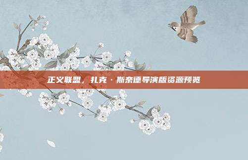 正义联盟,扎克·斯奈德导演版资源预览