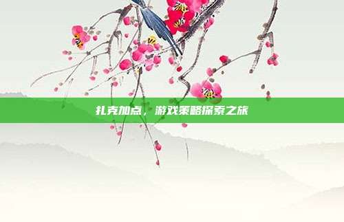 扎克加点,游戏策略探索之旅