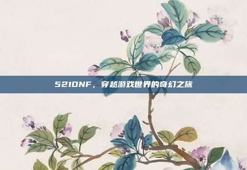 521DNF,穿越游戏世界的奇幻之旅