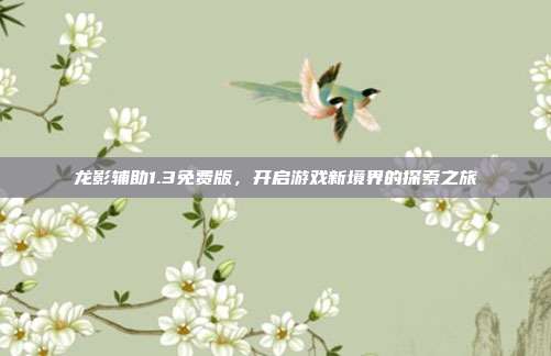 龙影辅助1.3免费版,开启游戏新境界的探索之旅