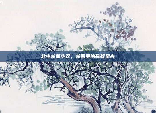 北电校草华汉,校园里的璀璨星光