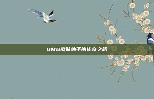 OMG战队柚子的传奇之路