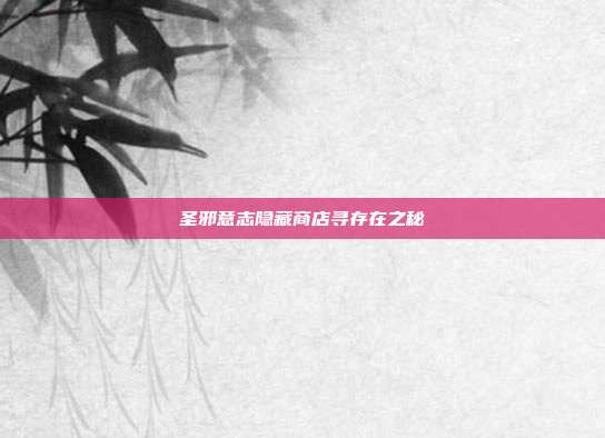 圣邪意志隐藏商店寻存在之秘