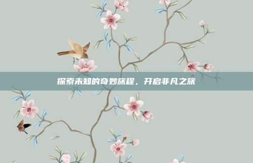 探索未知的奇妙旅程,开启非凡之旅
