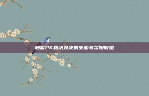 刺客PK极限对决的策略与荣耀较量