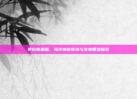 泰拉斯黑角,海洋神秘奇境与生物智慧探索