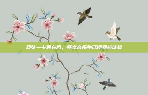 网弦一卡通充值,畅享音乐生活便捷新体验