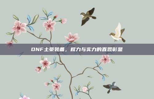 DNF土豪装备,权力与实力的直观彰显