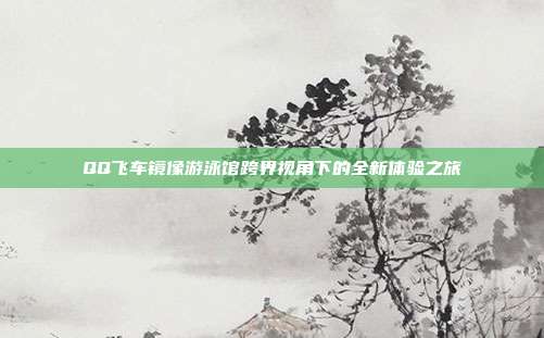 QQ飞车镜像游泳馆跨界视角下的全新体验之旅