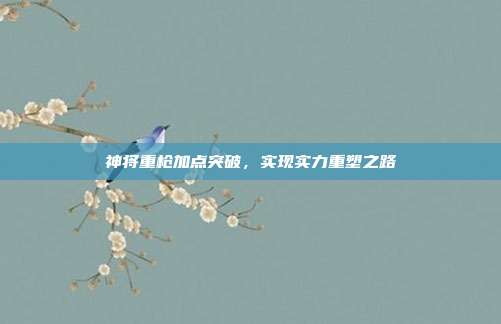 神将重枪加点突破,实现实力重塑之路
