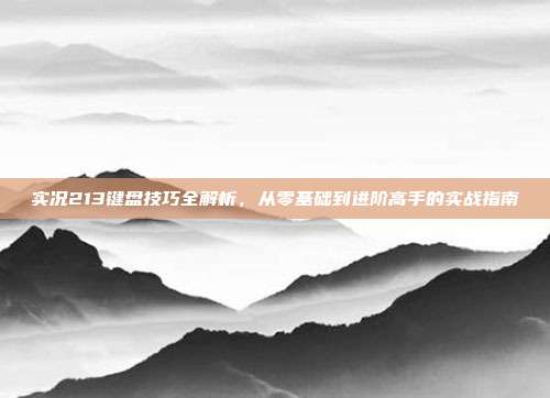 实况213键盘技巧全解析,从零基础到进阶高手的实战指南