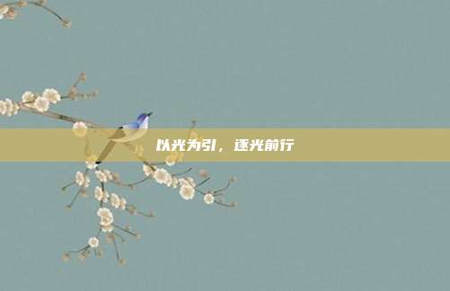 以光为引,逐光前行