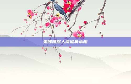 鬼魄窥探人间诡异本相