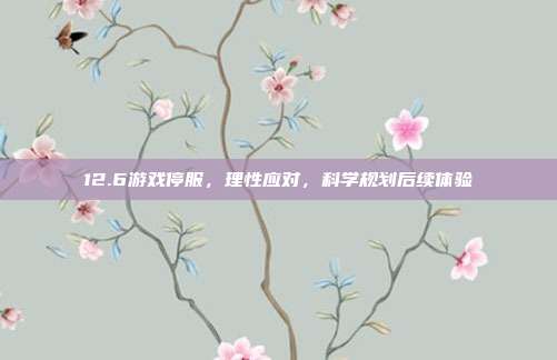 12.6游戏停服,理性应对,科学规划后续体验
