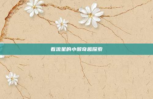 看流星的小猴奇趣探索