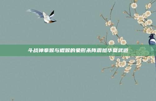 斗战神拳猴与棍猴的象形杀阵震撼华夏武道