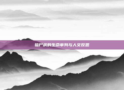 验尸房的生命审判与人文反思