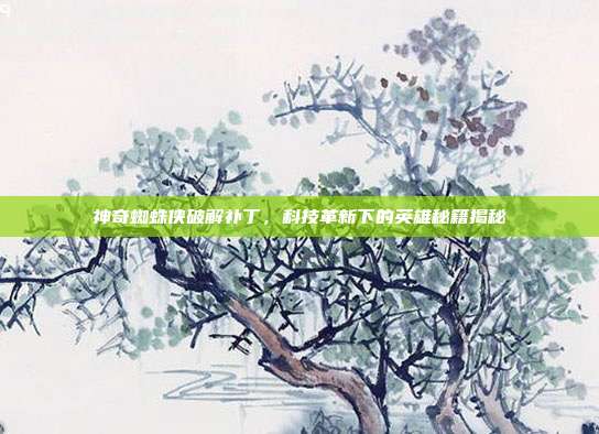 神奇蜘蛛侠破解补丁,科技革新下的英雄秘籍揭秘