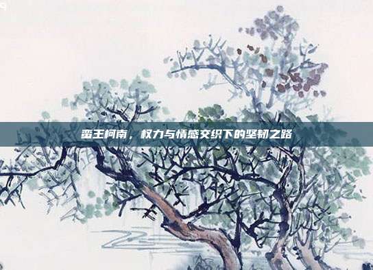 蛮王柯南,权力与情感交织下的坚韧之路
