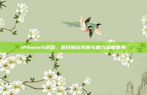 iPhone5游戏,昔日畅玩风貌与魅力深度回溯