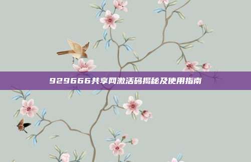 929666共享网激活码揭秘及使用指南