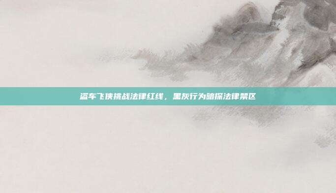 盗车飞侠挑战法律红线,黑灰行为暗探法律禁区
