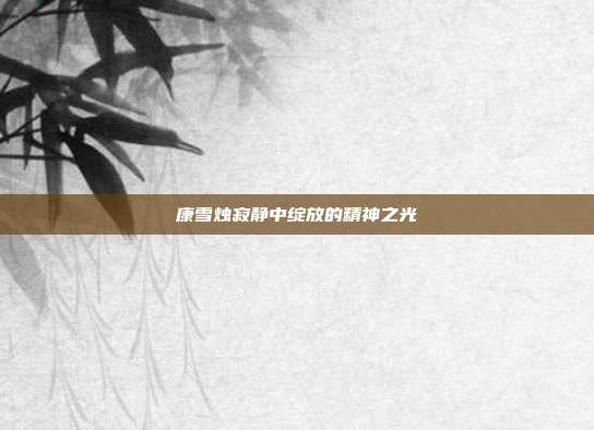 康雪烛寂静中绽放的精神之光