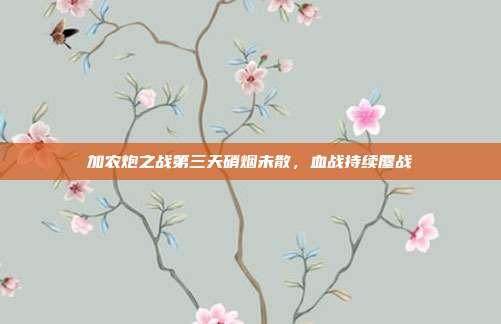 加农炮之战第三天硝烟未散,血战持续鏖战