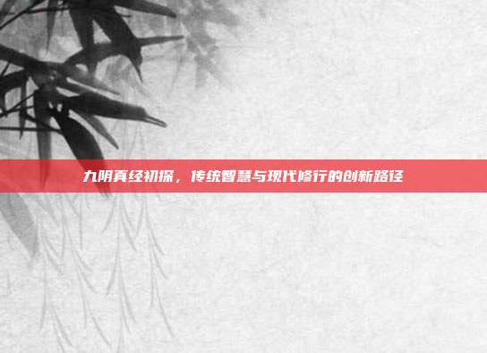 九阴真经初探,传统智慧与现代修行的创新路径