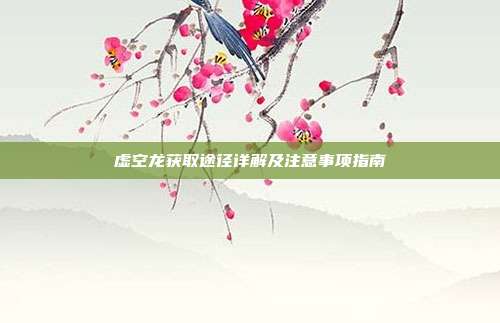 虚空龙获取途径详解及注意事项指南