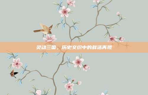 灵动三国,历史交织中的鲜活再现
