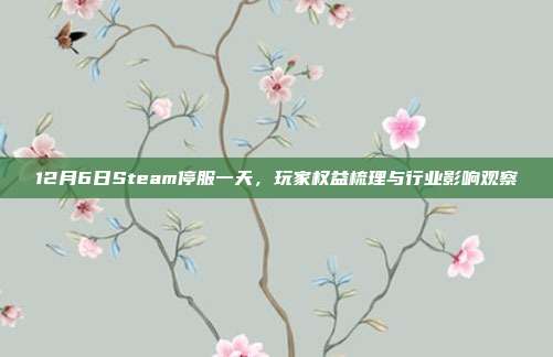 12月6日Steam停服一天,玩家权益梳理与行业影响观察