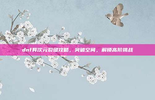 dnf异次元裂缝攻略,突破空间,解锁高阶挑战