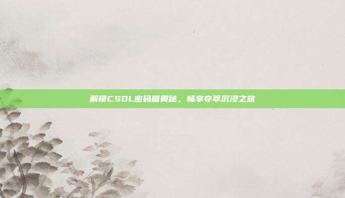 解锁CSOL密码箱奥秘,畅享夺萃沉浸之旅