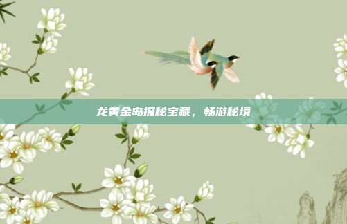 龙黄金岛探秘宝藏,畅游秘境