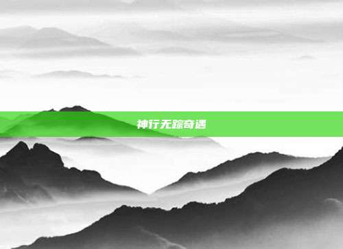 神行无踪奇遇