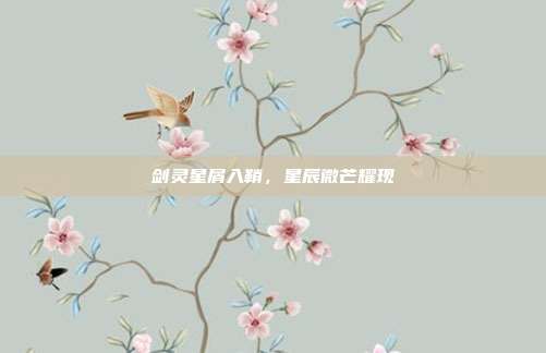 剑灵星屑入鞘,星辰微芒耀现